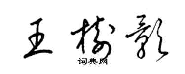 梁錦英王樹影草書個性簽名怎么寫