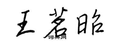 王正良王茗昭行書個性簽名怎么寫