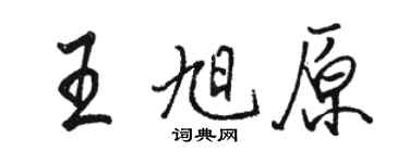 駱恆光王旭原行書個性簽名怎么寫