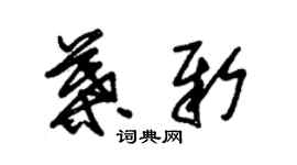 朱錫榮葉新草書個性簽名怎么寫