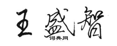 駱恆光王盛智行書個性簽名怎么寫