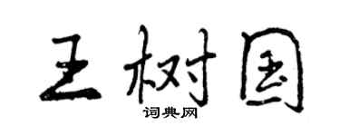 曾慶福王樹國行書個性簽名怎么寫