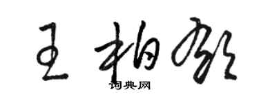 駱恆光王柏郁草書個性簽名怎么寫