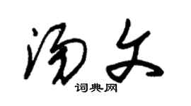 朱錫榮湯文草書個性簽名怎么寫