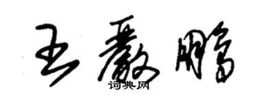 朱錫榮王嚴鵬草書個性簽名怎么寫