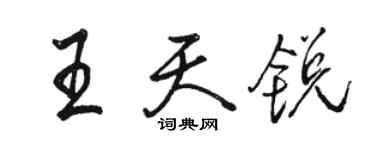 駱恆光王天銳行書個性簽名怎么寫