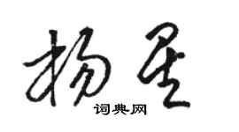 駱恆光楊星草書個性簽名怎么寫