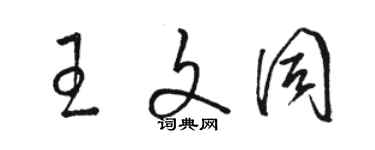 駱恆光王文同草書個性簽名怎么寫