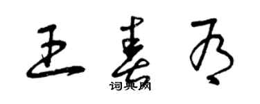 曾慶福王春有草書個性簽名怎么寫