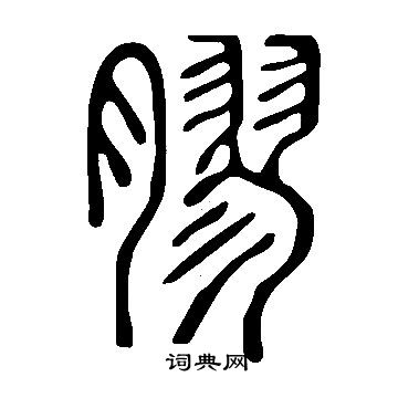 說文解字寫的膠