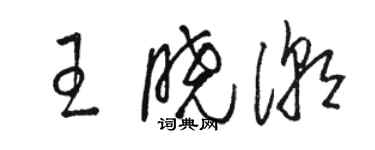 駱恆光王曉潮草書個性簽名怎么寫