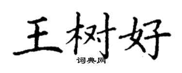 丁謙王樹好楷書個性簽名怎么寫