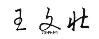 駱恆光王文壯草書個性簽名怎么寫