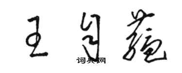 駱恆光王自蘊草書個性簽名怎么寫