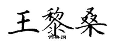 丁謙王黎桑楷書個性簽名怎么寫