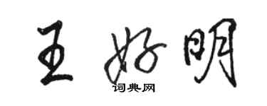 駱恆光王好明行書個性簽名怎么寫