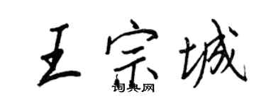 王正良王宗城行書個性簽名怎么寫