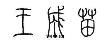 陳墨王成苗篆書個性簽名怎么寫