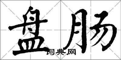 翁闓運盤腸楷書怎么寫