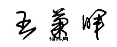 朱錫榮王菊暉草書個性簽名怎么寫