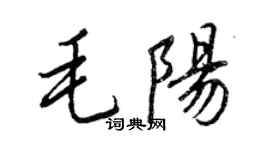 王正良毛陽行書個性簽名怎么寫