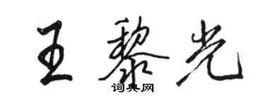 駱恆光王黎光行書個性簽名怎么寫