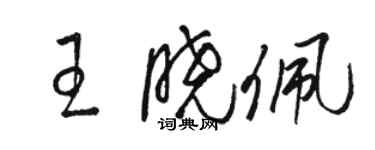 駱恆光王曉佩草書個性簽名怎么寫