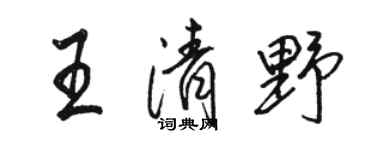 駱恆光王清野行書個性簽名怎么寫
