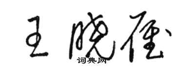 駱恆光王曉雁草書個性簽名怎么寫