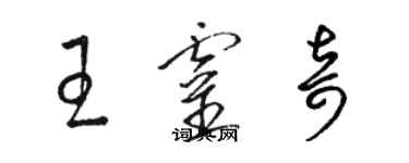 駱恆光王靈奇草書個性簽名怎么寫