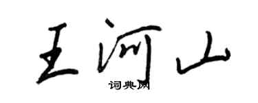 王正良王河山行書個性簽名怎么寫