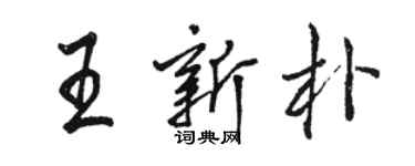 駱恆光王新朴行書個性簽名怎么寫