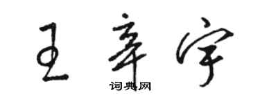 駱恆光王辛宇草書個性簽名怎么寫