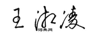 駱恆光王湘凌草書個性簽名怎么寫