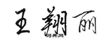 駱恆光王翔麗行書個性簽名怎么寫