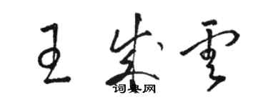 駱恆光王成雲草書個性簽名怎么寫