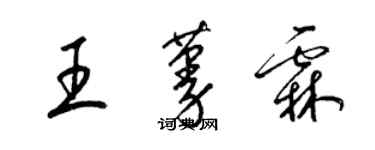 梁錦英王蔓霖草書個性簽名怎么寫