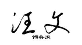 梁錦英汪文草書個性簽名怎么寫