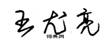 朱錫榮王尤亮草書個性簽名怎么寫