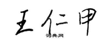 王正良王仁甲行書個性簽名怎么寫