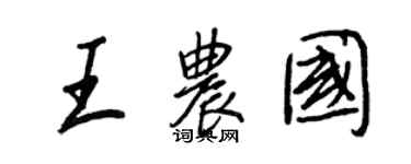 王正良王農國行書個性簽名怎么寫