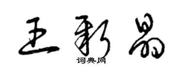 曾慶福王新晶草書個性簽名怎么寫