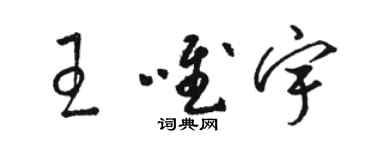 駱恆光王唯宇草書個性簽名怎么寫