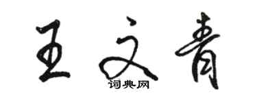 駱恆光王文青行書個性簽名怎么寫