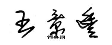 朱錫榮王景豐草書個性簽名怎么寫