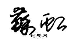 朱錫榮蘇虹草書個性簽名怎么寫