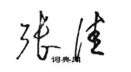 駱恆光張佳草書個性簽名怎么寫