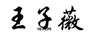 胡問遂王子薇行書個性簽名怎么寫