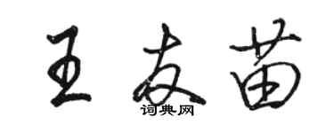 駱恆光王友苗行書個性簽名怎么寫