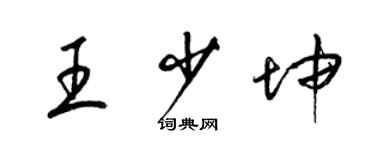 梁錦英王少坤草書個性簽名怎么寫